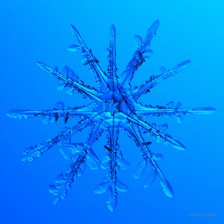 100 Snowflake Photos