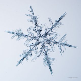 100 Snowflake Photos