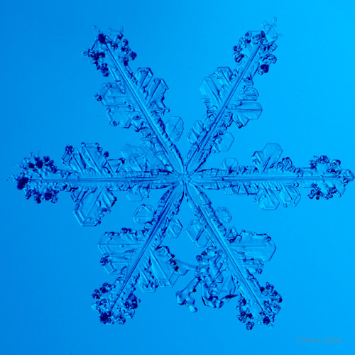 100 Snowflake Photos