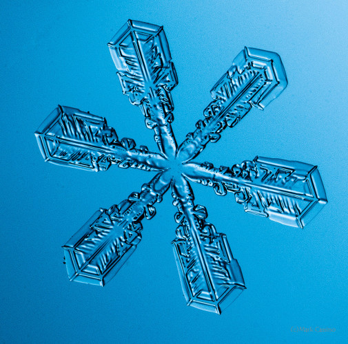 100 Snowflake Photos