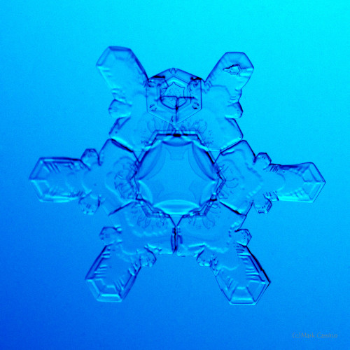 100 Snowflake Photos