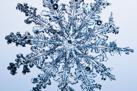 High magnification photo on an actual snowflake / snow crystal.f