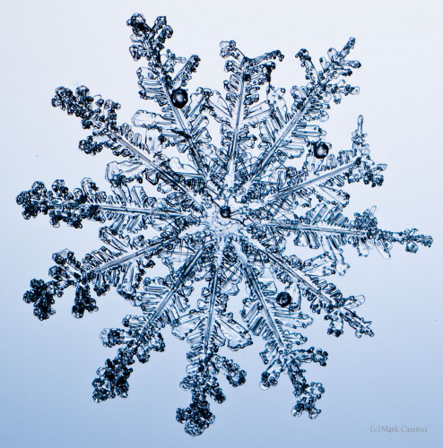 100 Snowflake Photos