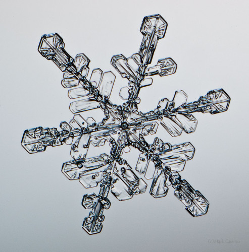 100 Snowflake Photos