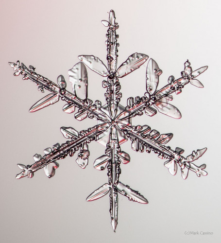 100 Snowflake Photos