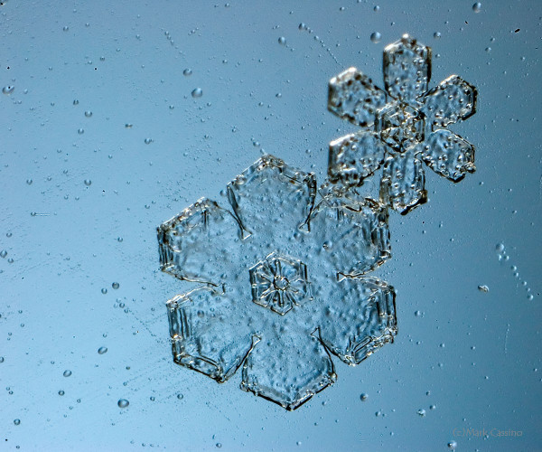 100 Snowflake Photos