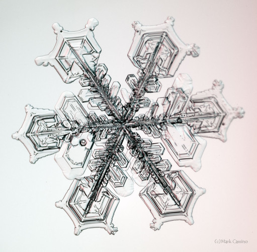 100 Snowflake Photos