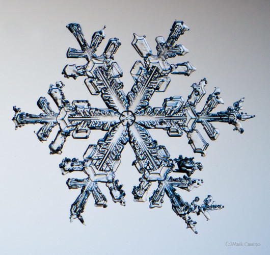 100 Snowflake Photos