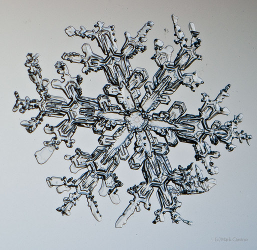 100 Snowflake Photos