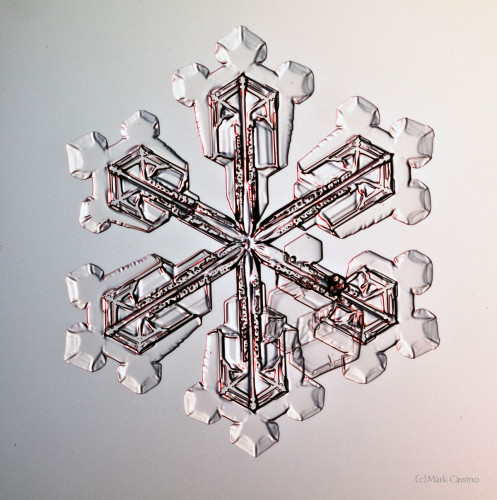 100 Snowflake Photos