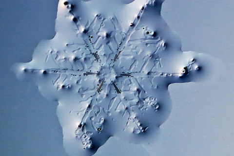 High magnification photo of an actual snowflake / snow crystal in the process of melting.