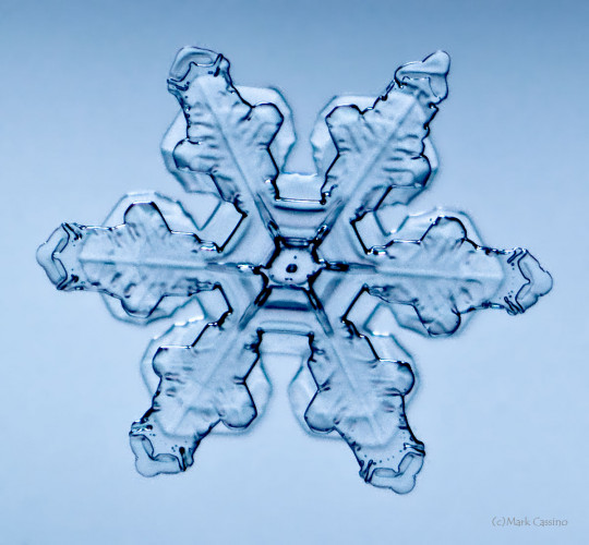 100 Snowflake Photos