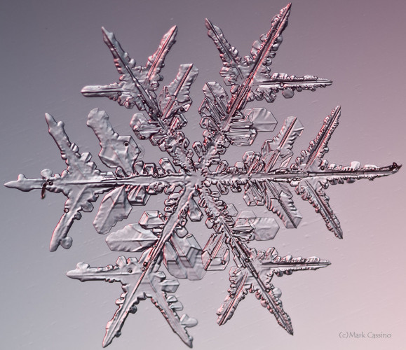 100 Snowflake Photos