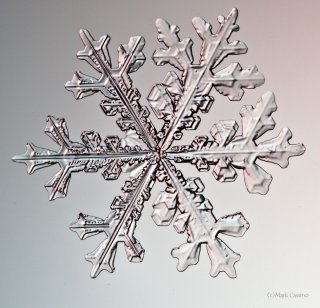 100 Snowflake Photos