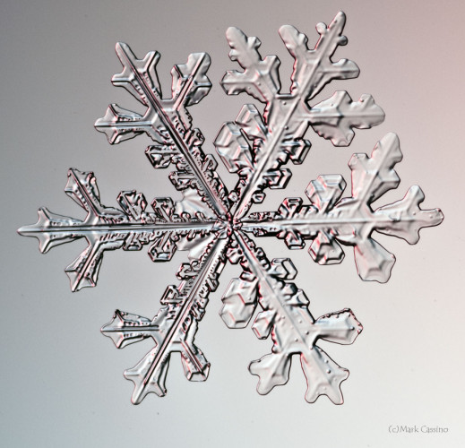 100 Snowflake Photos