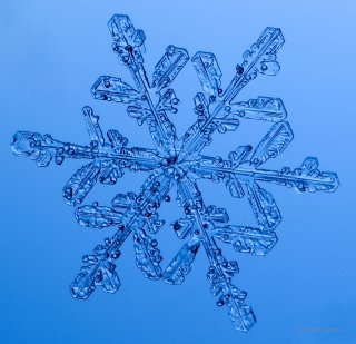 100 Snowflake Photos