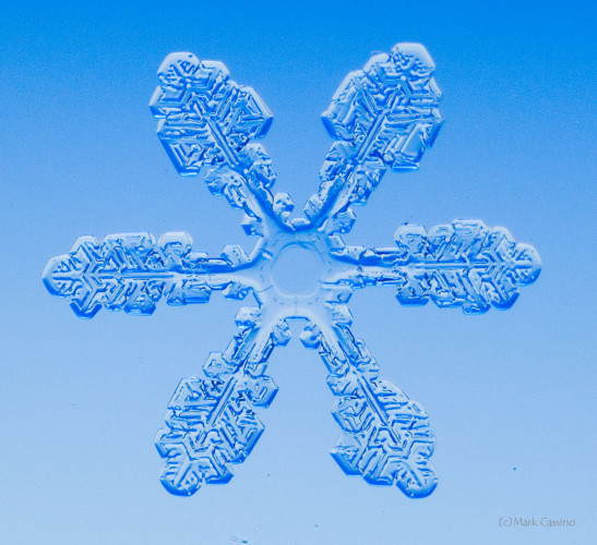 100 Snowflake Photos