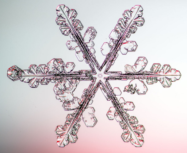 100 Snowflake Photos