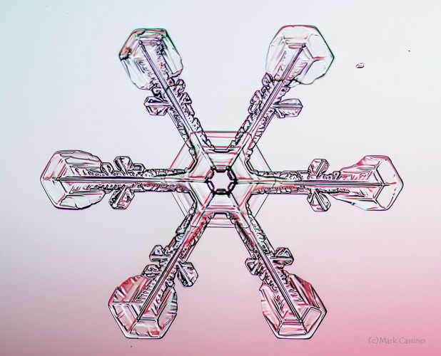 100 Snowflake Photos