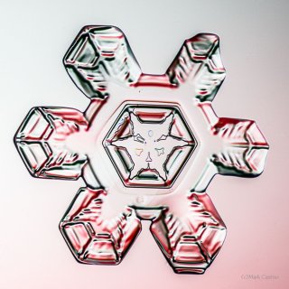 100 Snowflake Photos