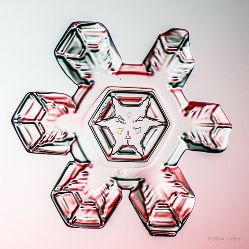 100 Snowflake Photos