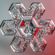 100 Snowflake Photos