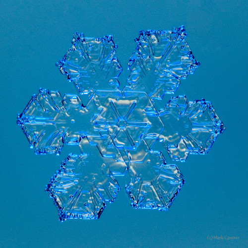 100 Snowflake Photos