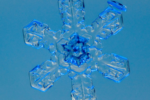 High magnification photo of an actual snowflake / snow crystal.