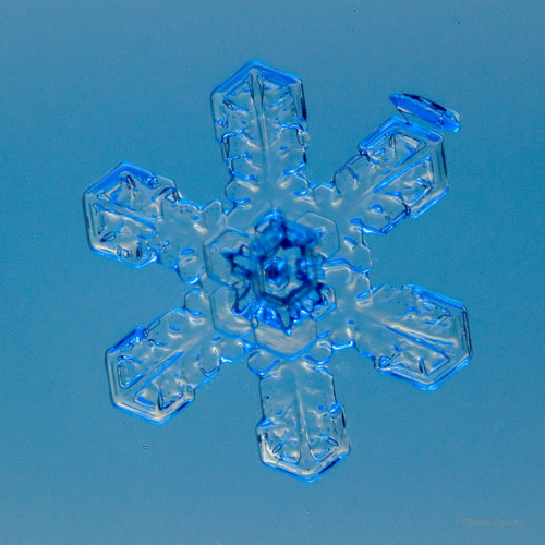 100 Snowflake Photos