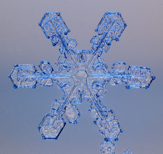 100 Snowflake Photos