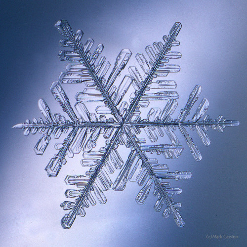 100 Snowflake Photos