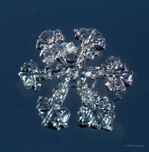 100 Snowflake Photos