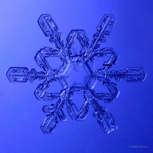 100 Snowflake Photos